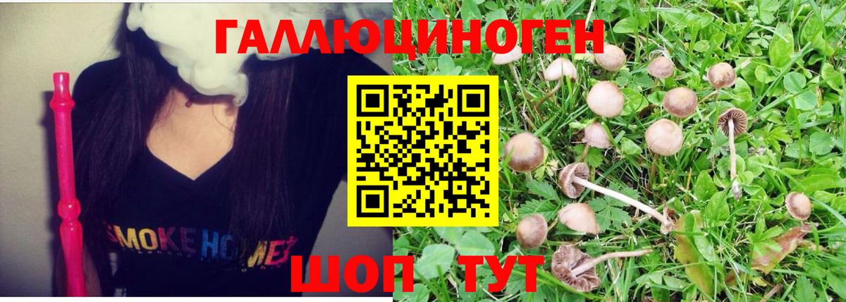 Псилоцибиновые грибы Magic Shrooms  Вход с VPN  Тобольск 